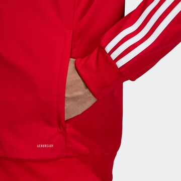 Veste de sport 'Tiro 19' ADIDAS SPORTSWEAR en rouge