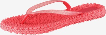 ILSE JACOBSEN Teenslipper 'Cheerful 01' in Rood