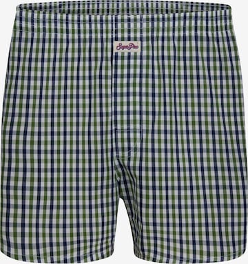 Sugar Pine Boxershorts 'Classic Check' in Grün: predná strana