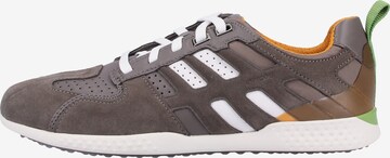 GEOX Sneaker 'Snake' in Grau