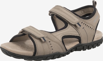 Sandales de randonnée 'Mito' GEOX en beige : devant