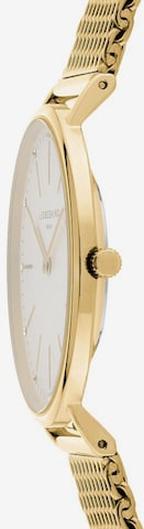 Liebeskind Berlin Analog Watch in Gold