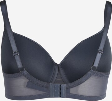 Dorina Regular BH 'CARMEN LIGHT PADDED DEMI' in Schwarz