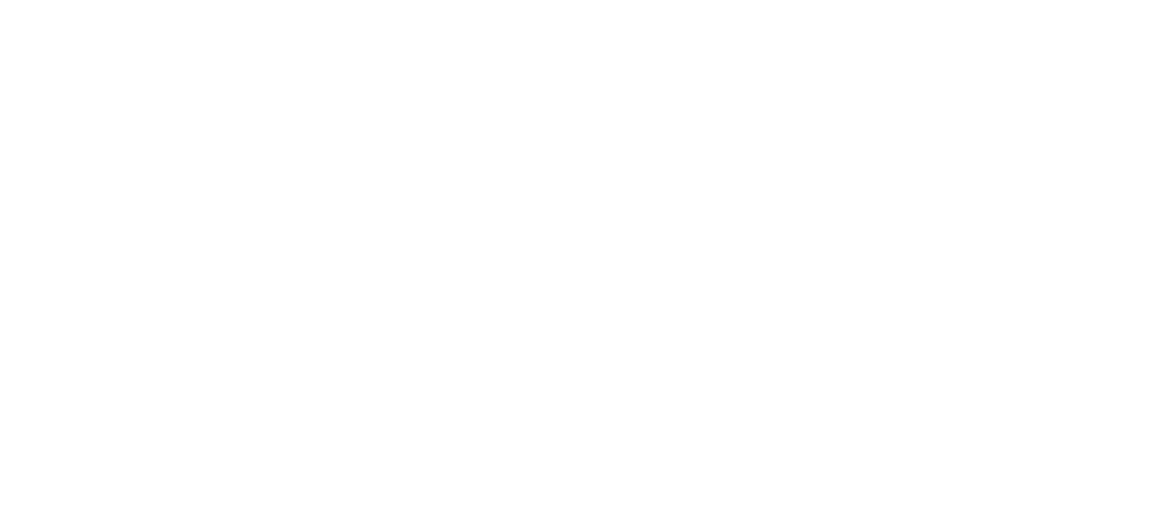 Camel Active Logo
