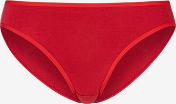 PETITE FLEUR Bikinislip in Mischfarben