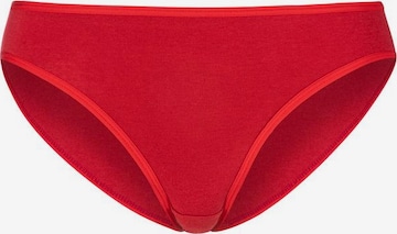 PETITE FLEUR Panty in Mixed colors