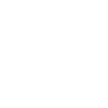 RAIINE Logo