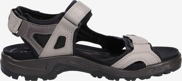 ECCO Hiking Sandals in Grey