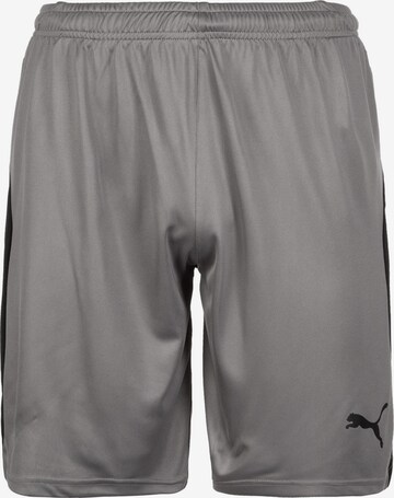 PUMA Regular Short 'Liga' in Grau: predná strana