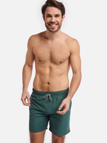 Shiwi Normální Plavecké šortky 'Mike' – zelená: přední strana