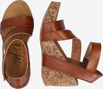 Blowfish Malibu Strap Sandals 'HAPUKU' in Brown