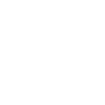 P D PAOLA Logo