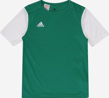 Maglia funzionale 'Estro 19' di ADIDAS PERFORMANCE in verde: frontale