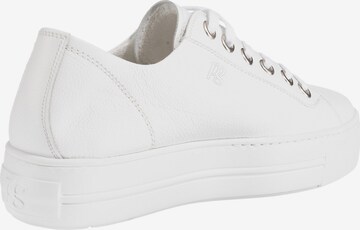 Sneaker bassa di Paul Green in bianco