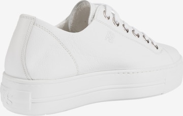 Paul Green Sneakers in White