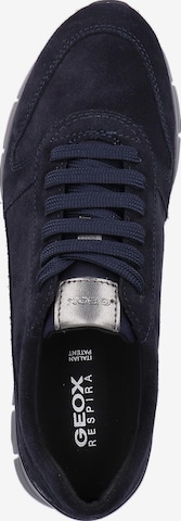 GEOX Sneakers laag in Blauw