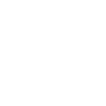 NINI Logo