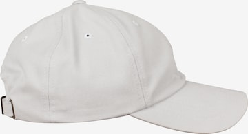 Flexfit Cap in Grey