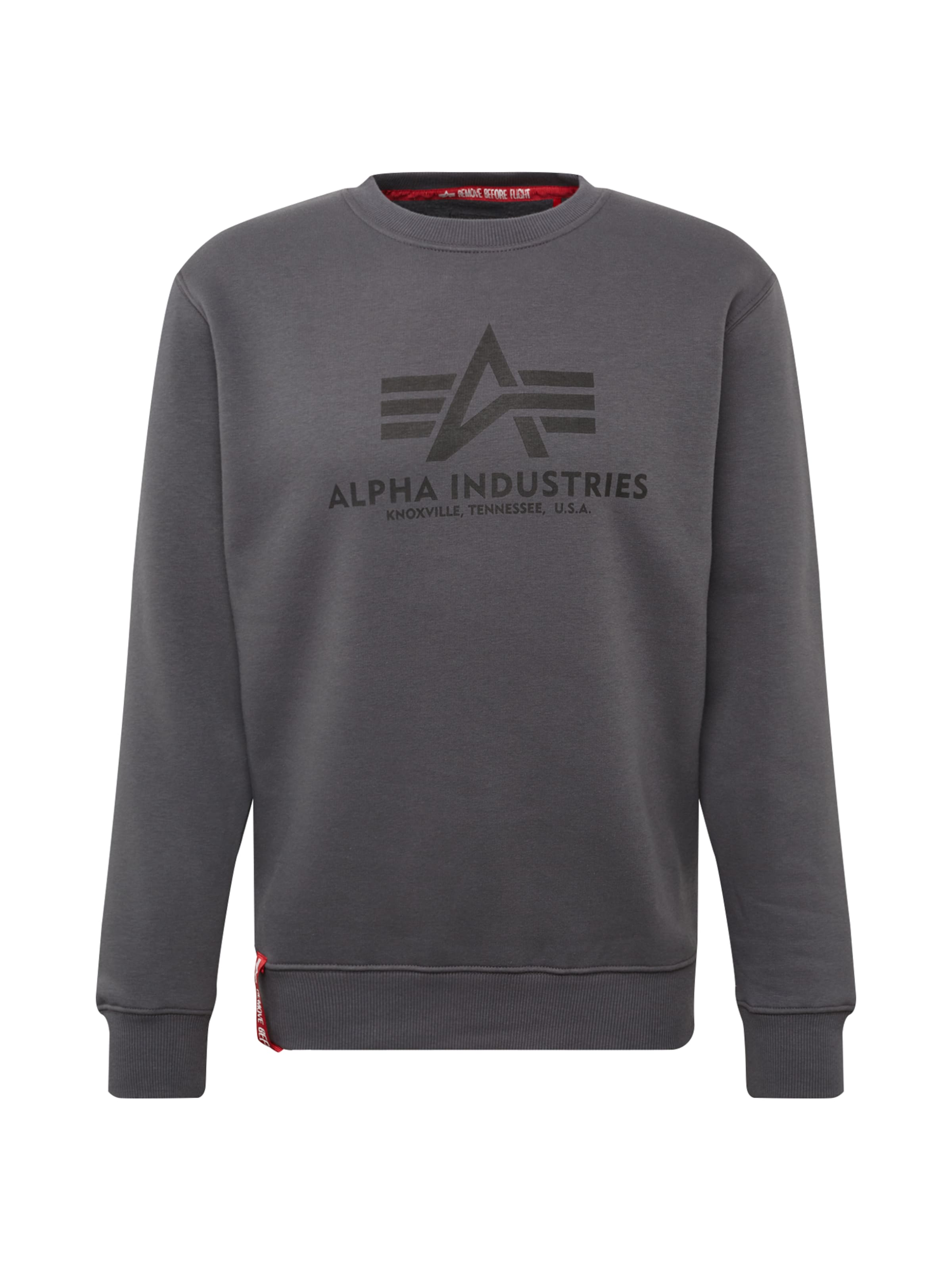 ALPHA INDUSTRIES Sweatshirt in Grey: front