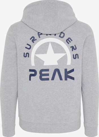 CHIEMSEE Regular fit Sports sweatshirt in Grey