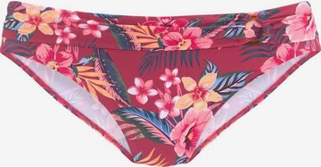s.Oliver Bikini Bottoms in Pink: front