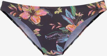 LASCANA Bikini Bottoms in Mixed colors: front