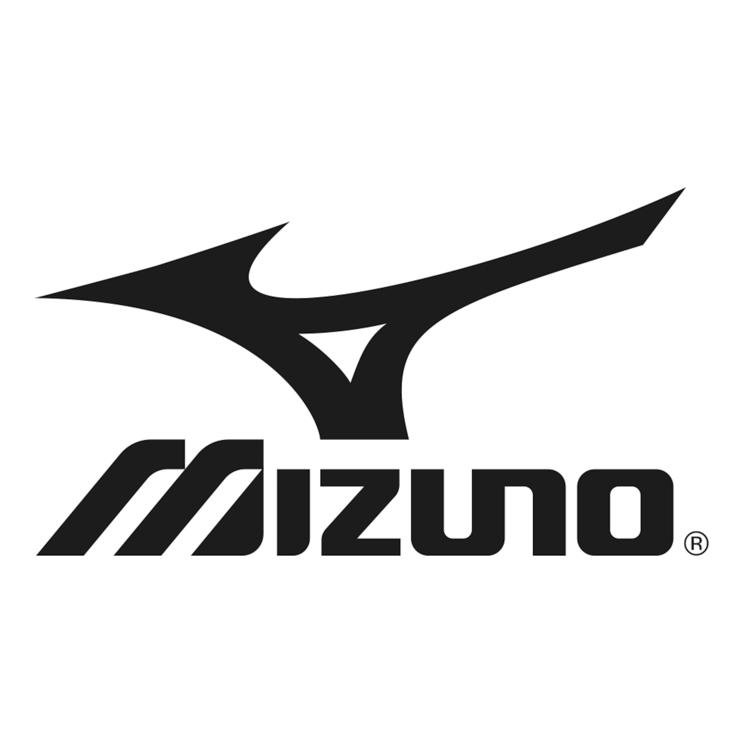 MIZUNO