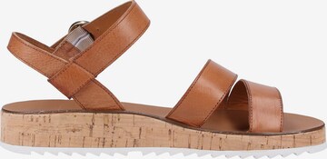 Paul Green Sandalen met riem in Bruin