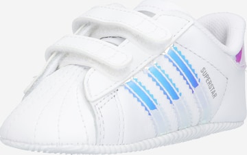 Baskets 'Superstar' ADIDAS ORIGINALS en blanc : devant