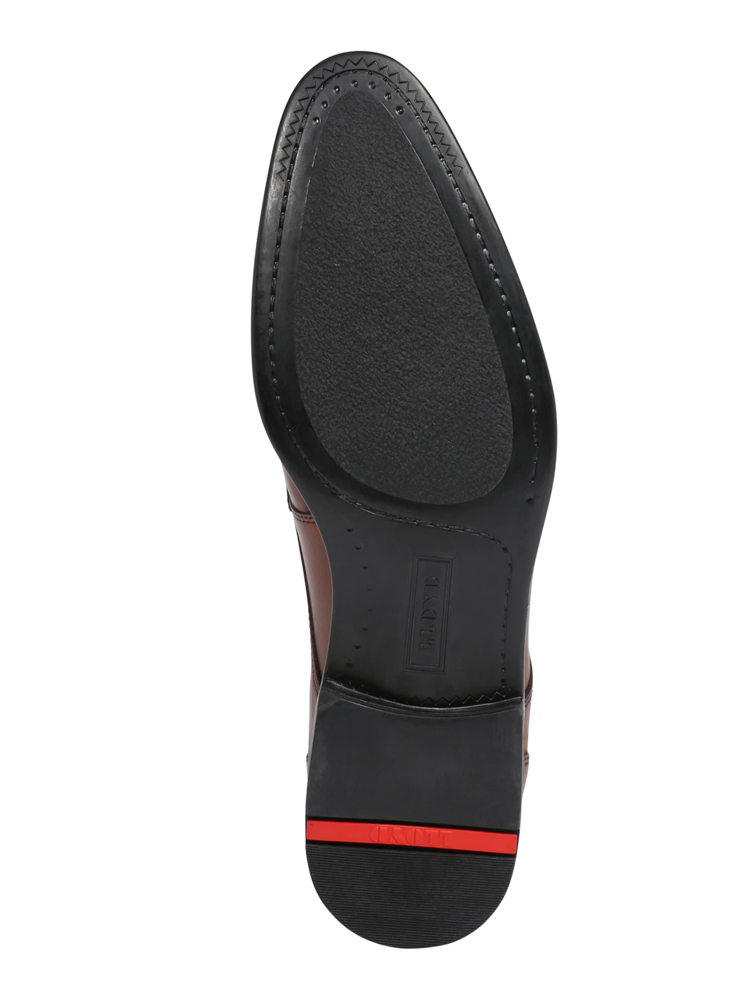 LLOYD Δετό παπούτσι 'Osmond' σε καφέ