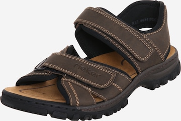 Sandales de randonnée Rieker en marron : devant
