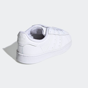ADIDAS ORIGINALS Sneakers 'Superstar' i hvid