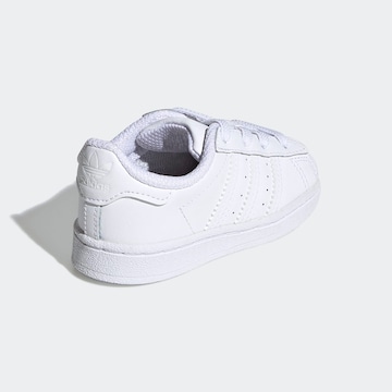 ADIDAS ORIGINALS Sneaker 'Superstar' i vit