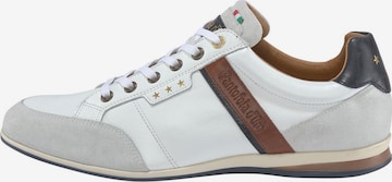 Baskets basses 'Roma Uomo' PANTOFOLA D'ORO en blanc