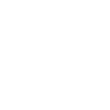 Stylove Logo