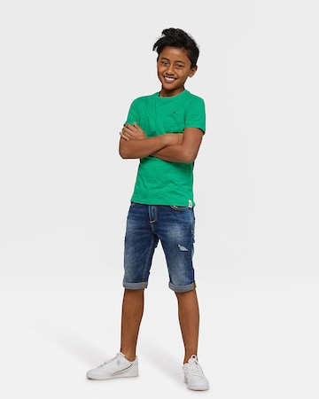 WE Fashion T-shirt 'Herold' i grön