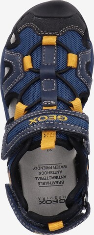 Chaussures ouvertes GEOX en bleu