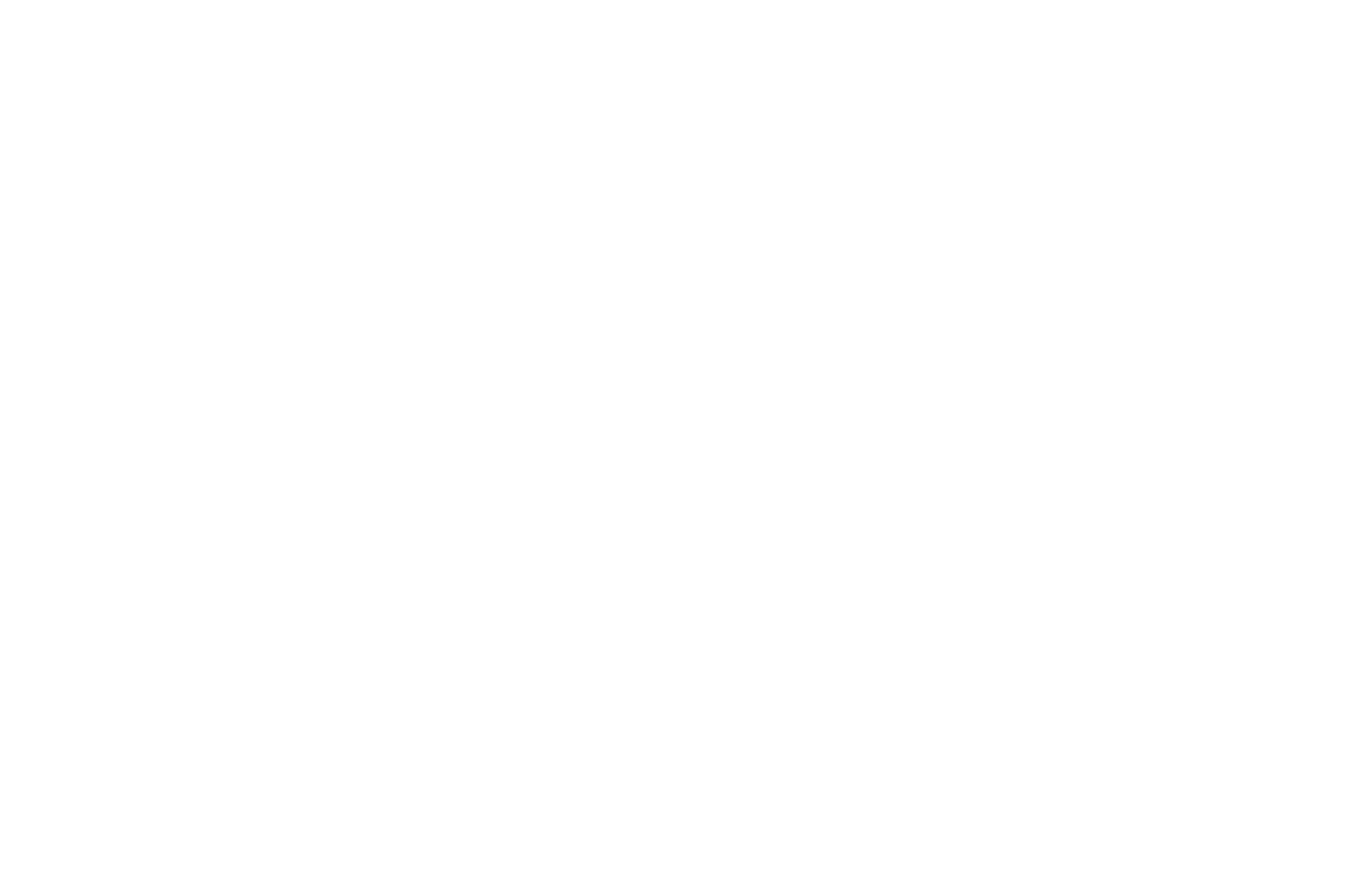 STEVE MADDEN Logo