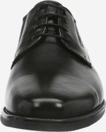 SALAMANDER Lace-Up Shoes in Black