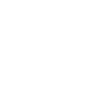 Bolongaro Trevor Logo
