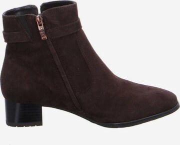 ARA Ankle Boots in Brown
