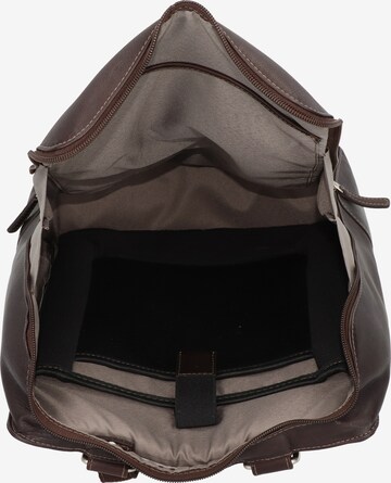 Harold's Backpack 'Campo' in Brown