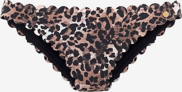 LASCANA Bikini Bottoms 'Lexa' in Black: front