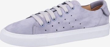 Darkwood Sneakers in Purple: front