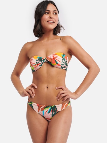 Shiwi Regular Bikinitop 'Frangipani kiki top' in Gemengde kleuren: voorkant