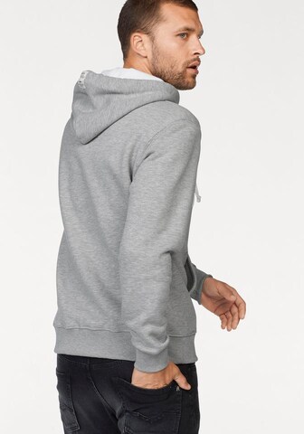 ALPHA INDUSTRIES Sweatshirt i grå