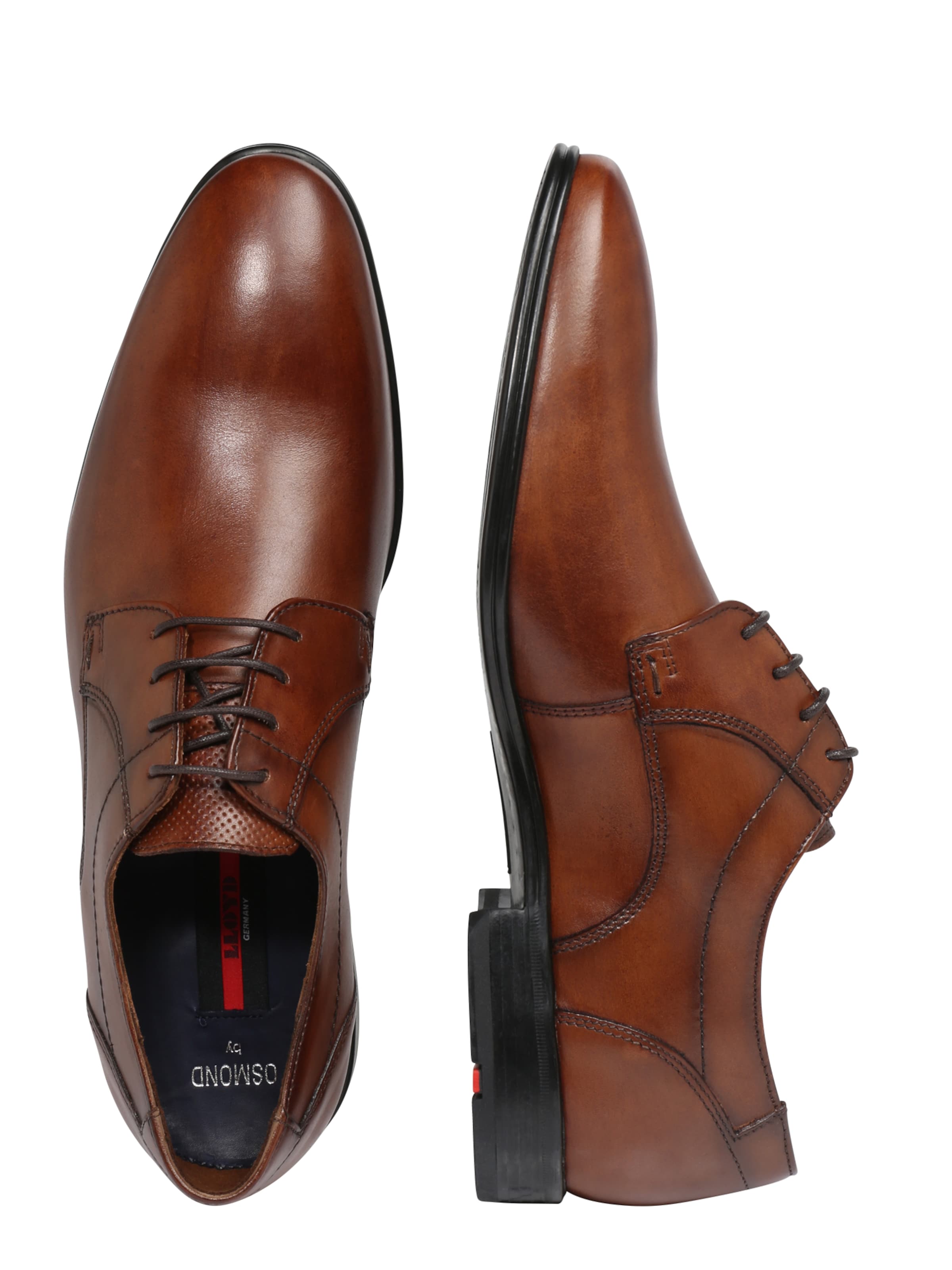 LLOYD Δετό παπούτσι 'Osmond' σε καφέ