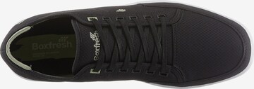 Baskets basses 'Sparko' BOXFRESH en noir