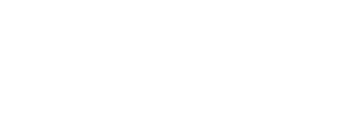 NU-IN Plus Logo