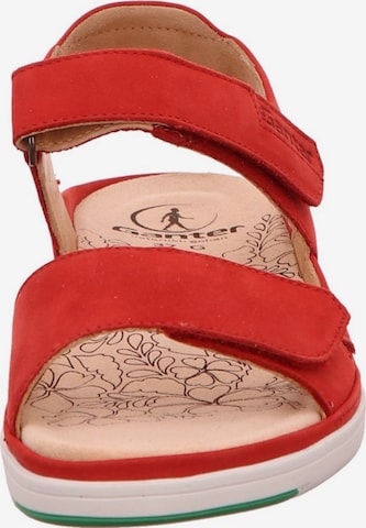 Ganter Sandals in Red